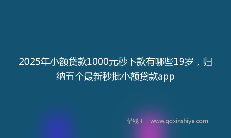 2025年小额贷款1000元秒下款有哪些19岁，归纳五个最新秒批小额贷款app