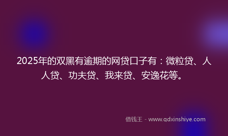 2025年的双黑有逾期的网贷口子有：微粒贷、人人贷、功夫贷、我来贷、安逸花等。