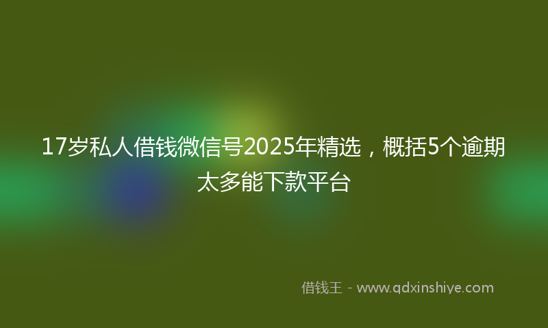 17岁私人借钱微信号2025年精选，概括5个逾期太多能下款平台