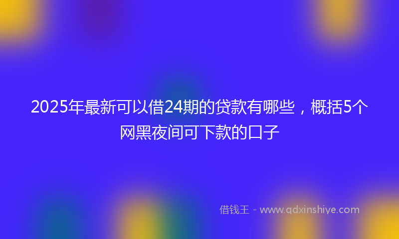 2025年最新可以借24期的贷款有哪些，概括5个网黑夜间可下款的口子