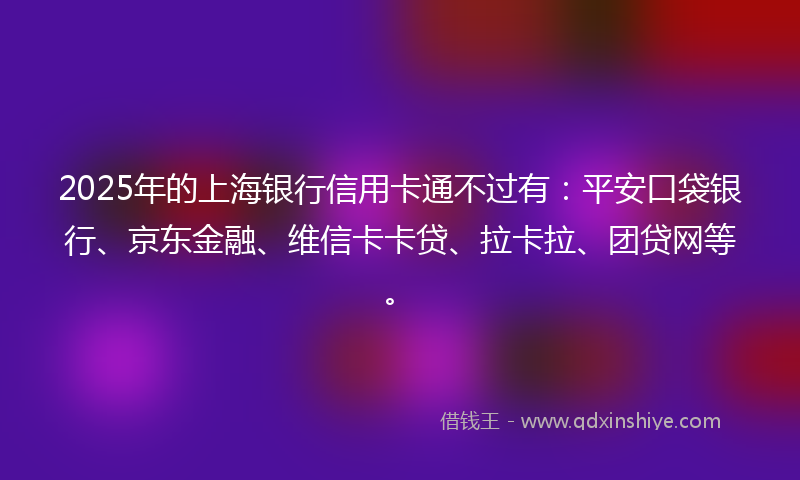 2025年的上海银行信用卡通不过有：平安口袋银行、京东金融、维信卡卡贷、拉卡拉、团贷网等。