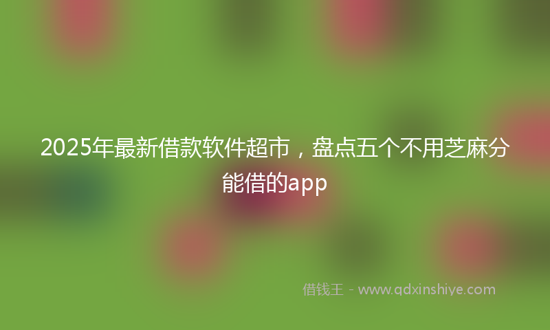 2025年最新借款软件超市，盘点五个不用芝麻分能借的app