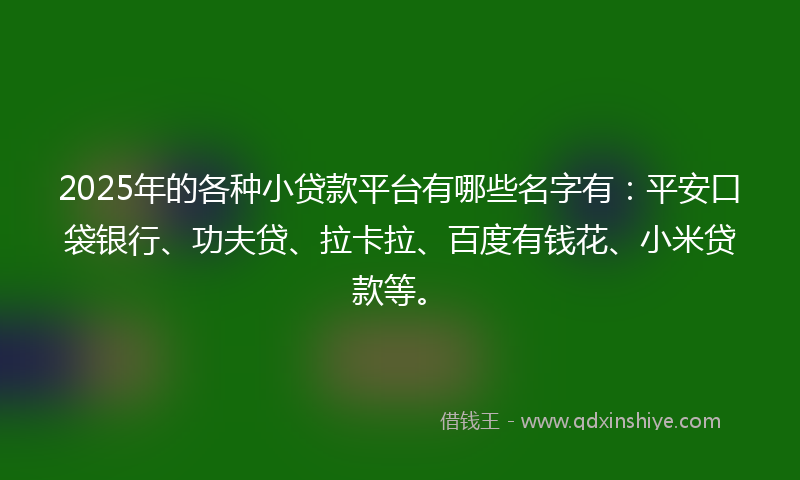 2025年的各种小贷款平台有哪些名字有：平安口袋银行、功夫贷、拉卡拉、百度有钱花、小米贷款等。