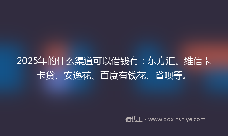 2025年的什么渠道可以借钱有：东方汇、维信卡卡贷、安逸花、百度有钱花、省呗等。