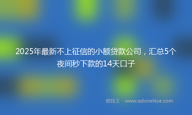 2025年最新不上征信的小额贷款公司，汇总5个夜间秒下款的14天口子