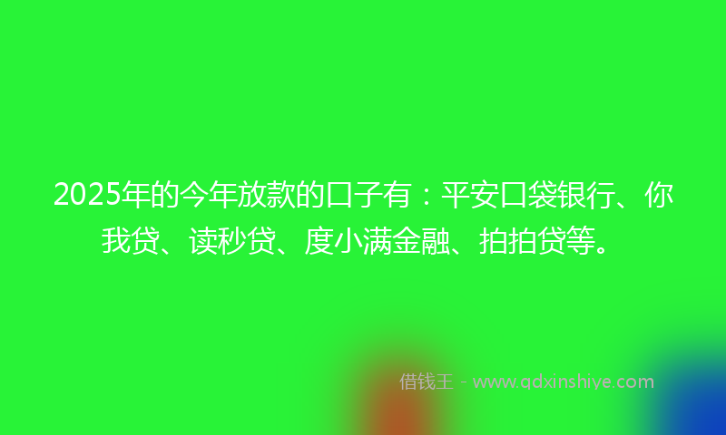 2025年的今年放款的口子有：平安口袋银行、你我贷、读秒贷、度小满金融、拍拍贷等。