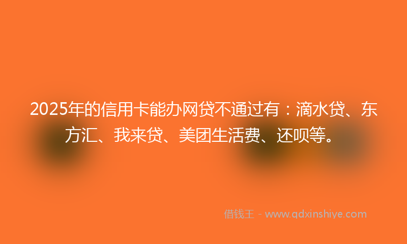 2025年的信用卡能办网贷不通过有：滴水贷、东方汇、我来贷、美团生活费、还呗等。