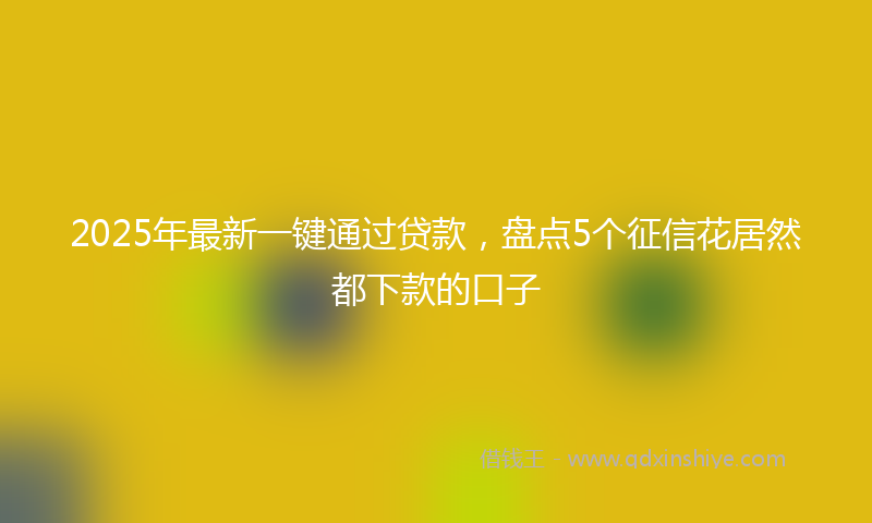 2025年最新一键通过贷款，盘点5个征信花居然都下款的口子