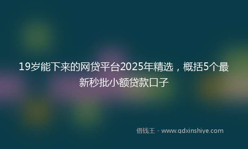 19岁能下来的网贷平台2025年精选，概括5个最新秒批小额贷款口子