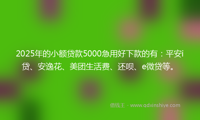2025年的小额贷款5000急用好下款的有：平安i贷、安逸花、美团生活费、还呗、e微贷等。