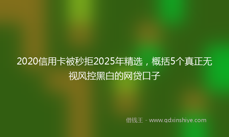 2020信用卡被秒拒2025年精选，概括5个真正无视风控黑白的网贷口子