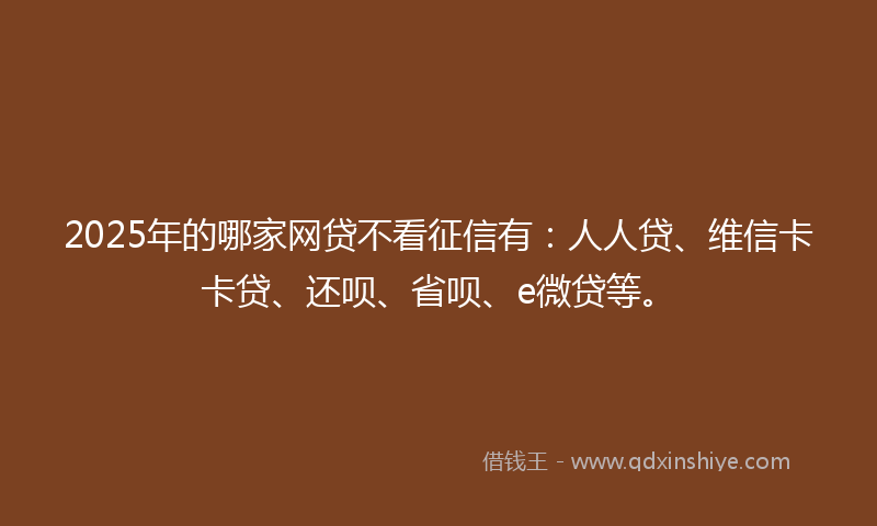 2025年的哪家网贷不看征信有：人人贷、维信卡卡贷、还呗、省呗、e微贷等。