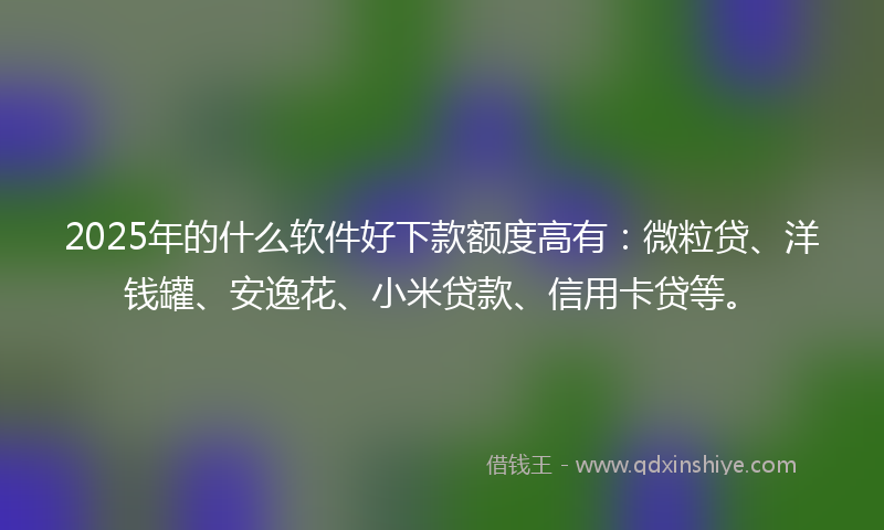 2025年的什么软件好下款额度高有：微粒贷、洋钱罐、安逸花、小米贷款、信用卡贷等。