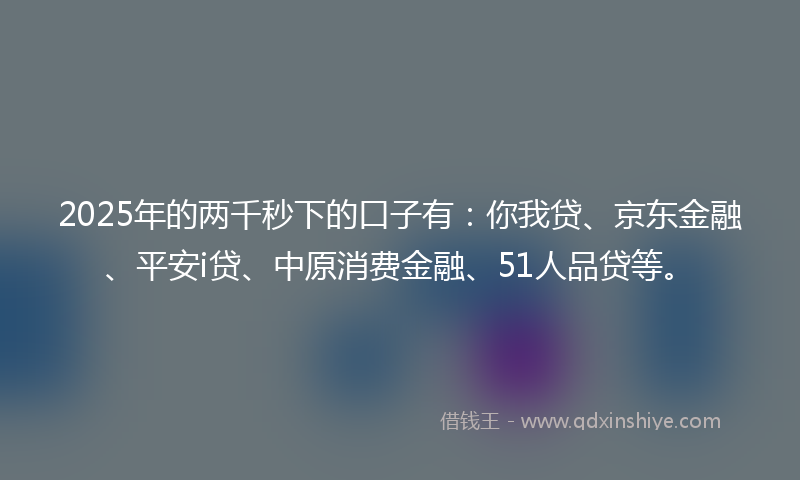 2025年的两千秒下的口子有：你我贷、京东金融、平安i贷、中原消费金融、51人品贷等。