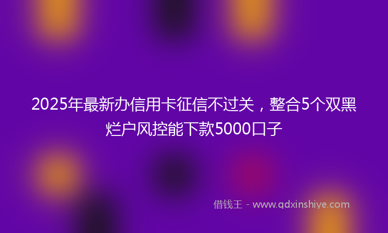 2025年最新办信用卡征信不过关，整合5个双黑烂户风控能下款5000口子