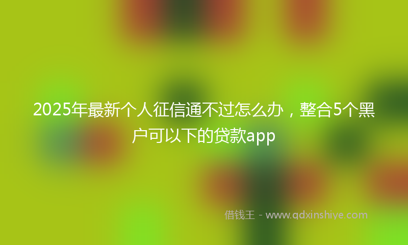 2025年最新个人征信通不过怎么办，整合5个黑户可以下的贷款app