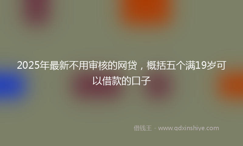 2025年最新不用审核的网贷，概括五个满19岁可以借款的口子