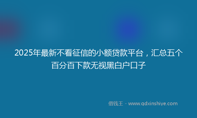 2025年最新不看征信的小额贷款平台，汇总五个百分百下款无视黑白户口子