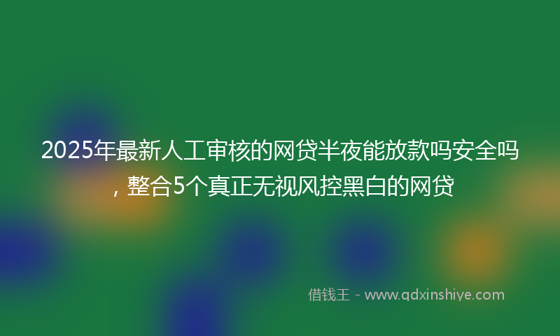 2025年最新人工审核的网贷半夜能放款吗安全吗，整合5个真正无视风控黑白的网贷