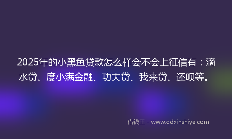 2025年的小黑鱼贷款怎么样会不会上征信有：滴水贷、度小满金融、功夫贷、我来贷、还呗等。