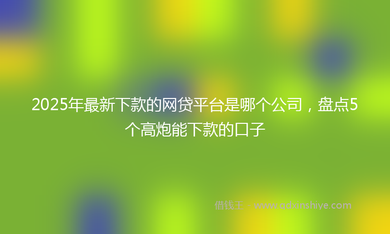 2025年最新下款的网贷平台是哪个公司，盘点5个高炮能下款的口子