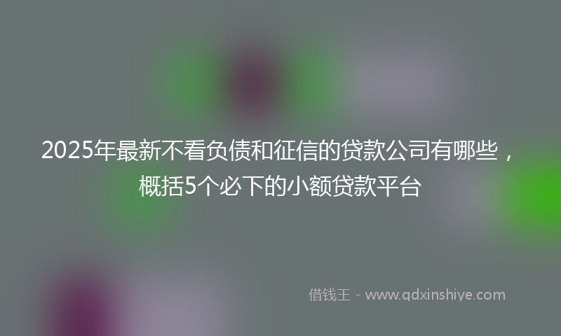 2025年最新不看负债和征信的贷款公司有哪些，概括5个必下的小额贷款平台