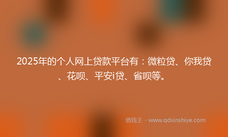 2025年的个人网上贷款平台有：微粒贷、你我贷、花呗、平安i贷、省呗等。