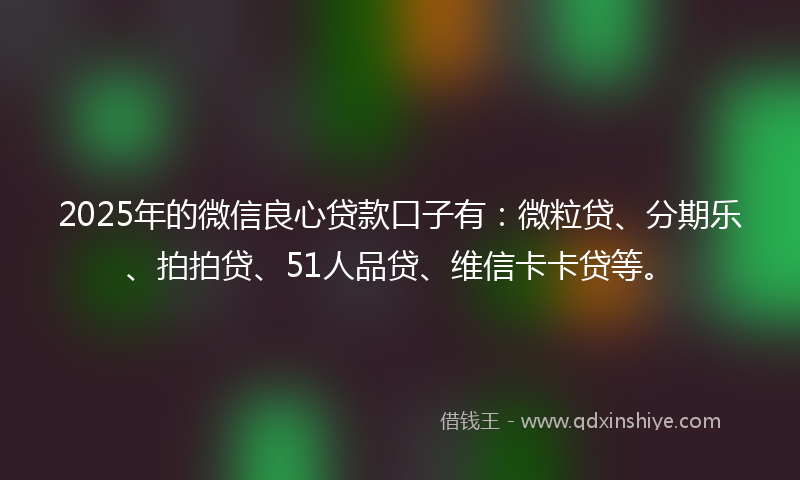 2025年的微信良心贷款口子有：微粒贷、分期乐、拍拍贷、51人品贷、维信卡卡贷等。