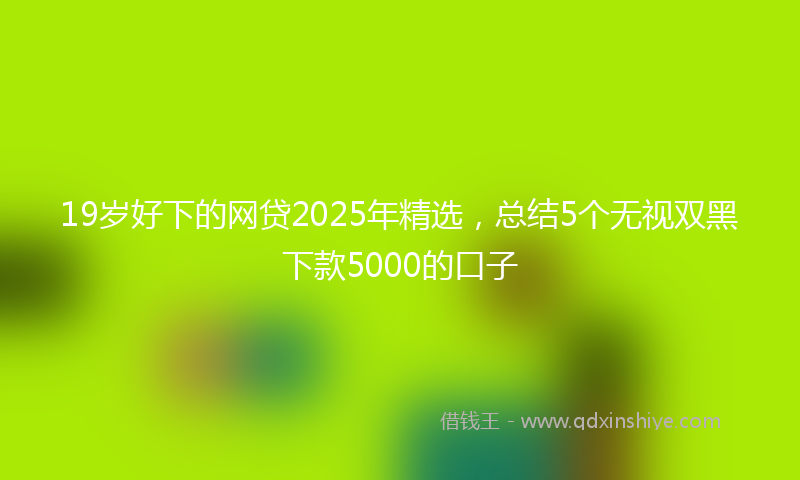 19岁好下的网贷2025年精选，总结5个无视双黑下款5000的口子
