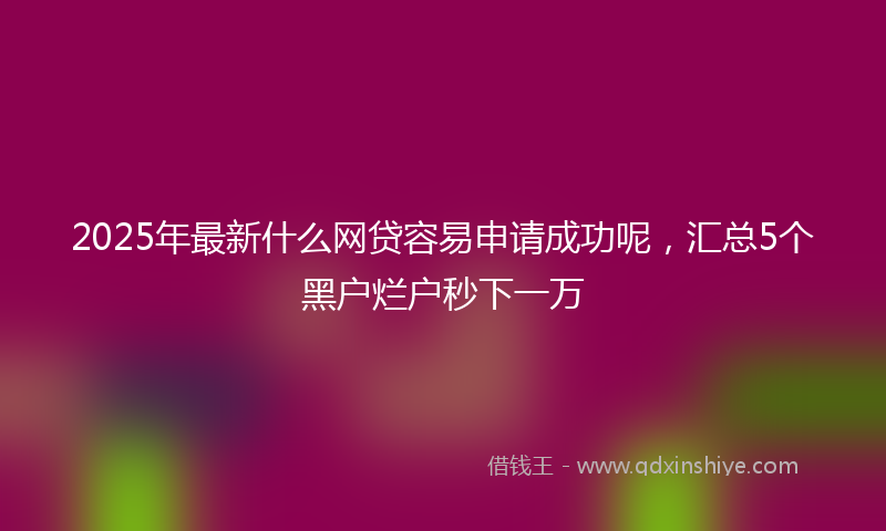 2025年最新什么网贷容易申请成功呢，汇总5个黑户烂户秒下一万