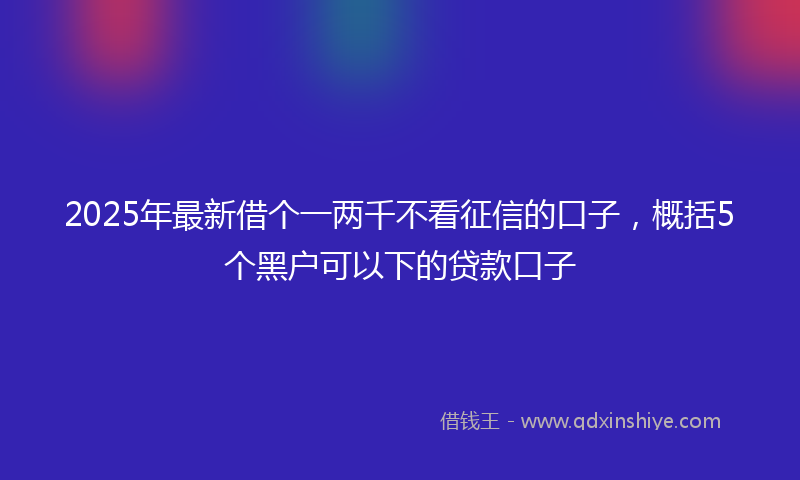 2025年最新借个一两千不看征信的口子，概括5个黑户可以下的贷款口子