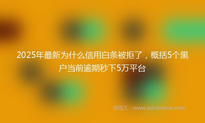 2025年最新为什么信用白条被拒了，概括5个黑户当前逾期秒下5万平台