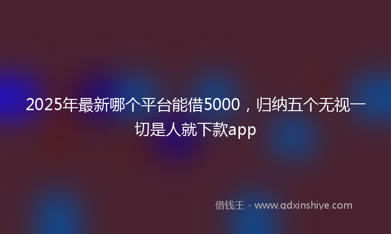 2025年最新哪个平台能借5000，归纳五个无视一切是人就下款app