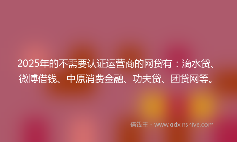 2025年的不需要认证运营商的网贷有：滴水贷、微博借钱、中原消费金融、功夫贷、团贷网等。