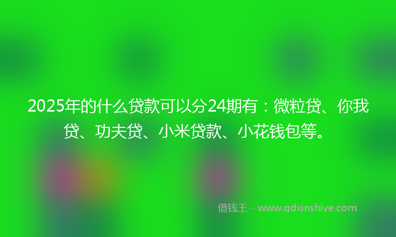 2025年的什么贷款可以分24期有：微粒贷、你我贷、功夫贷、小米贷款、小花钱包等。