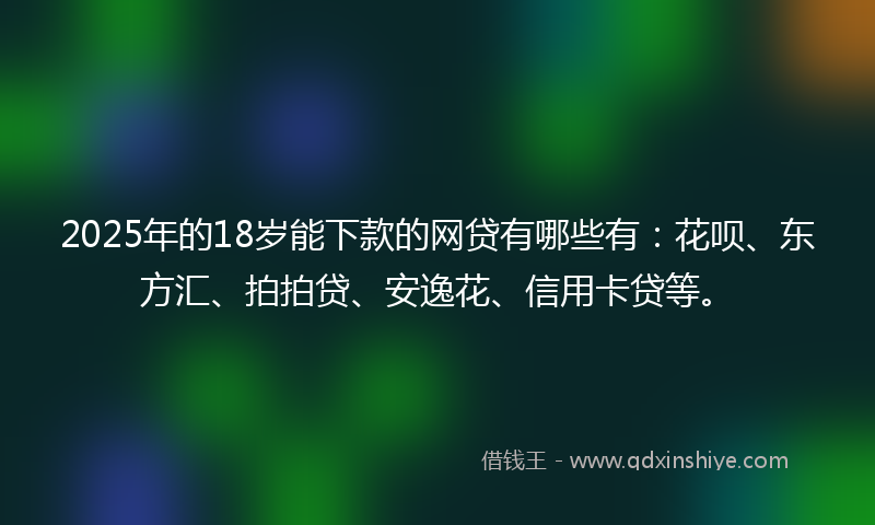 2025年的18岁能下款的网贷有哪些有：花呗、东方汇、拍拍贷、安逸花、信用卡贷等。