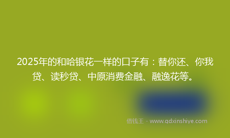 2025年的和哈银花一样的口子有：替你还、你我贷、读秒贷、中原消费金融、融逸花等。
