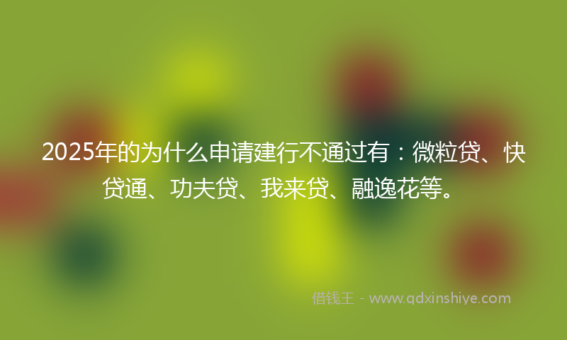 2025年的为什么申请建行不通过有：微粒贷、快贷通、功夫贷、我来贷、融逸花等。