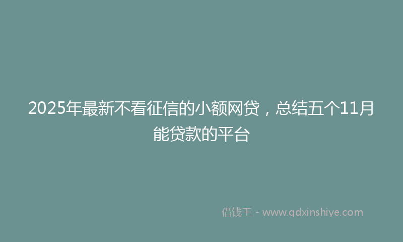 2025年最新不看征信的小额网贷，总结五个11月能贷款的平台