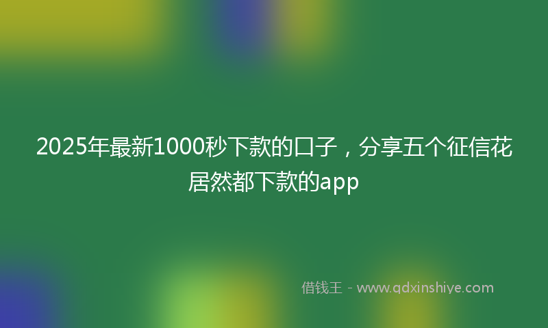 2025年最新1000秒下款的口子，分享五个征信花居然都下款的app