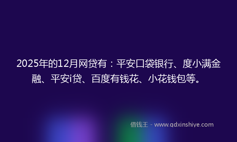 2025年的12月网贷有：平安口袋银行、度小满金融、平安i贷、百度有钱花、小花钱包等。