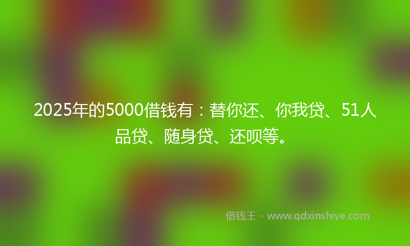 2025年的5000借钱有：替你还、你我贷、51人品贷、随身贷、还呗等。