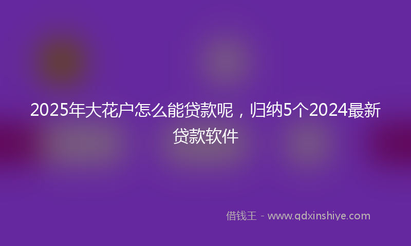 2025年大花户怎么能贷款呢，归纳5个2024最新贷款软件