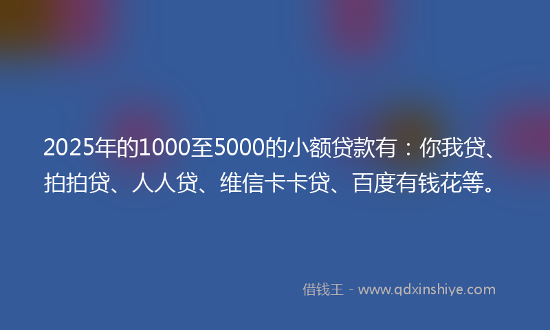 2025年的1000至5000的小额贷款有：你我贷、拍拍贷、人人贷、维信卡卡贷、百度有钱花等。