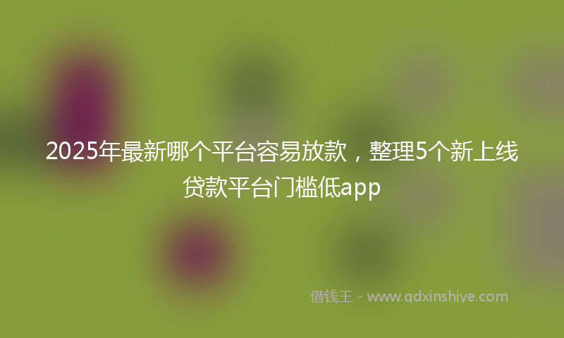 2025年最新哪个平台容易放款，整理5个新上线贷款平台门槛低app