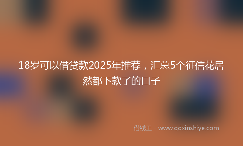 18岁可以借贷款2025年推荐，汇总5个征信花居然都下款了的口子