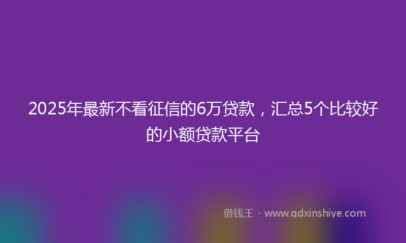 2025年最新不看征信的6万贷款，汇总5个比较好的小额贷款平台