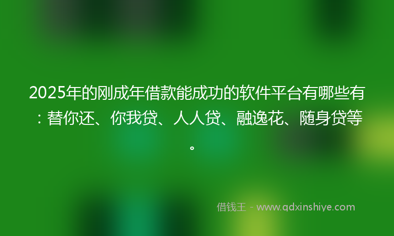 2025年的刚成年借款能成功的软件平台有哪些有：替你还、你我贷、人人贷、融逸花、随身贷等。