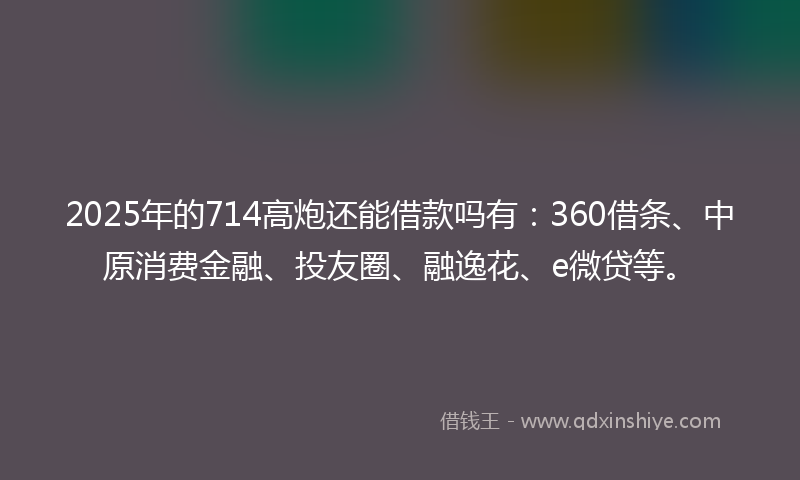 2025年的714高炮还能借款吗有：360借条、中原消费金融、投友圈、融逸花、e微贷等。