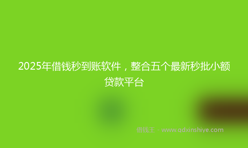 2025年借钱秒到账软件，整合五个最新秒批小额贷款平台